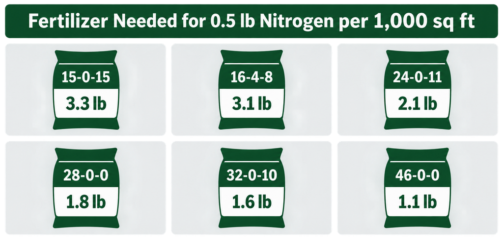 How Much Fertilizer Does Bermuda Grass Need?