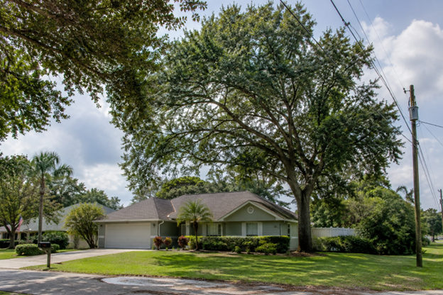 6 Essential Partners For A Storm-Ready Central Florida Yard